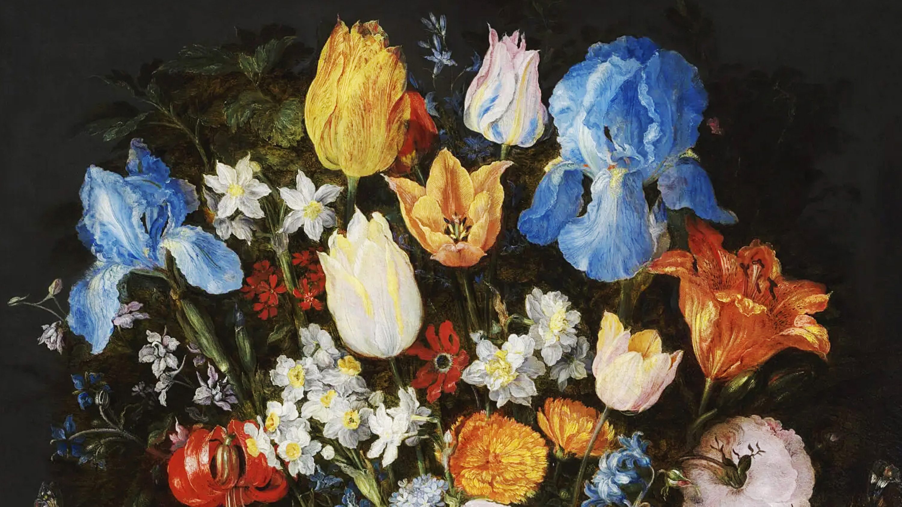 17世紀 花卉画 画集 17th-century Flower Painting Dutch Paintings of the Seventeenth Century: Flowers in an